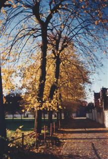 Caminho diário percorrido por Álvaro na Béguinage. Gent, 1995. Foto J.E.M. Clique para ampliar.