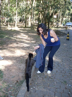 Ana Clara a repartir canjica com o macaquinho. Clique para ampliar.