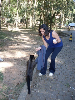 Ana Clara a repartir canjica com o macaquinho. Clique para ampliar.