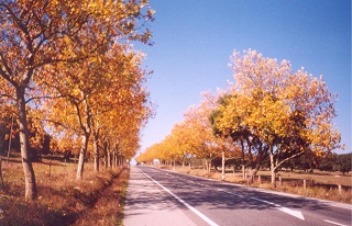 Estrada e Horizonte, irmanação. Foto JEM. Clique para ampliar.